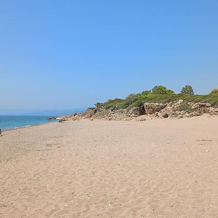 Villa Tzanetos Seaside à Kyparissia Extérieur photo