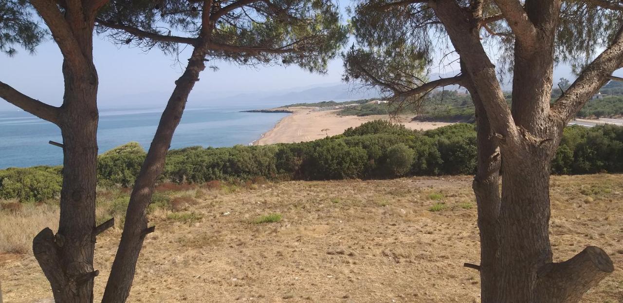 Villa Tzanetos Seaside à Kyparissia Extérieur photo