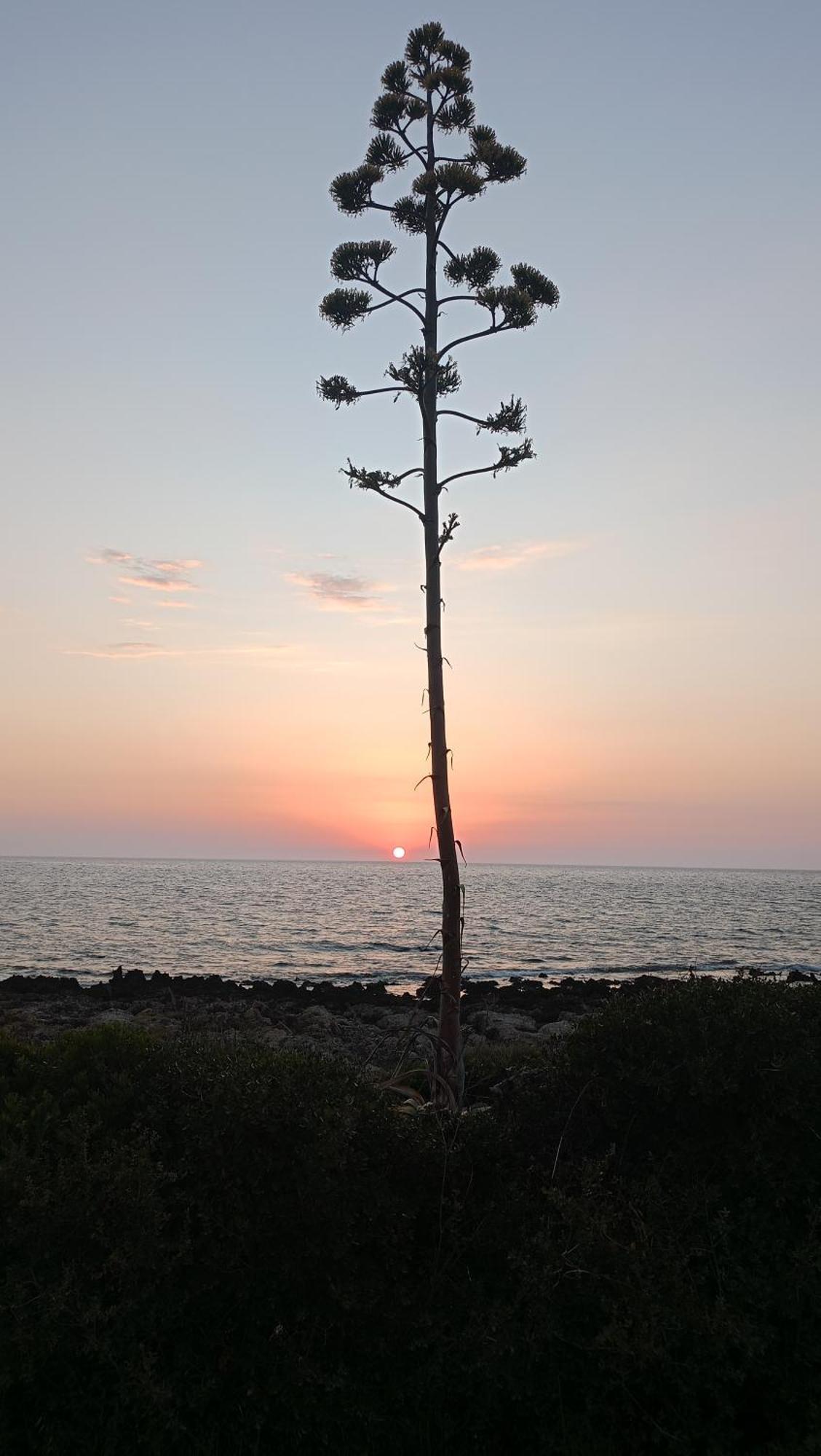 Villa Tzanetos Seaside à Kyparissia Extérieur photo